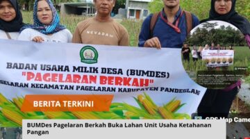 BUMDes Pagelaran Berkah Buka Lahan Unit Usaha Ketahanan Pangan